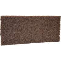 Coarse Scrub Pad, 10" L x 4-1/2" W Helyx Safety & Industrial Supplies