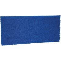 Medium Scrub Pad, 10" L x 4-1/2" W Helyx Safety & Industrial Supplies