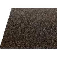 Palliser Indoor Matting, Wiper/Scraper, 3-1/2' x 6' x 5/16", Anglis Helyx Safety & Industrial Supplies