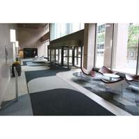 Supreme Knob Entrance Matting, Wiper/Scraper, 6-1/2' x 75-1/2' x 7/16", Charcoal Helyx Safety & Industrial Supplies