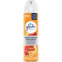 Air Freshener, Hawaiian Breeze&reg;, Aerosol Can Helyx Safety & Industrial Supplies