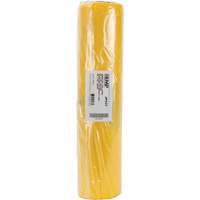 Doublures pour d&eacute;chets dangereux, Amiante, 40" lo x 26" la, 3 mils Helyx Safety & Industrial Supplies