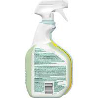 Nettoyant d&eacute;sinfectant CloroxPro Clorox EcoClean, 946 ml, Bouteille &agrave; g&acirc;chette Helyx Safety & Industrial Supplies