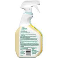 Nettoyant tout usage CloroxPro Clorox EcoClean, 946 ml, Bouteille &agrave; g&acirc;chette Helyx Safety & Industrial Supplies
