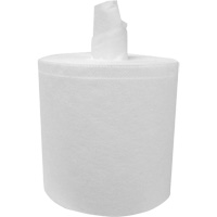 PRO Tuff-Job&reg; Refill Wipers Rolls for W012 Bucket Cleaning System, All-Purpose, 12-1/2" L x 12" W Helyx Safety & Industrial Supplies