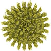 Brosse ronde HyDrive pour perceuse, Soies Tr&egrave;s ferme, Longueur de 3-1/10", Jaune Helyx Safety & Industrial Supplies