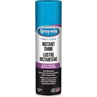 Pro Line Instant Shine for Plastic Surfaces, 11 oz., Aerosol Can Helyx Safety & Industrial Supplies