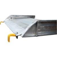 Rampe de promenade en aluminium, Capacit&eacute; de 1000 lb, 38" la x 193-1/8" lo Helyx Safety & Industrial Supplies