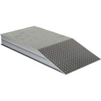 Rampes de nivellement de gros calibre Helyx Safety & Industrial Supplies