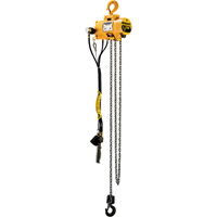 Palans pneumatiques &agrave; chaîne Budgit Helyx Safety & Industrial Supplies