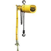 Palans pneumatiques Budgit s&eacute;rie 6000 Helyx Safety & Industrial Supplies