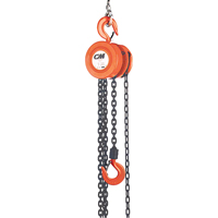 Palan &agrave; chaîne, Lev&eacute;e 8', Capacit&eacute; 6000 lb (3 tonnes), Chaîne Acier Helyx Safety & Industrial Supplies