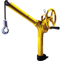 Crochets &eacute;l&eacute;vateurs industriels standards, Capacit&eacute; 500 lb (0,25 tonne) Helyx Safety & Industrial Supplies
