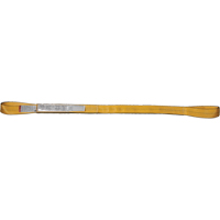Nylon Slings, Single Ply, Double Eye, Type 3, 2" W x 3' L, 3100 lbs. Vertical Load Limit Helyx Safety & Industrial Supplies