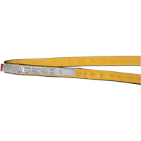 Polyester Slings, Single Ply, Endless, Type 5, 2" W x 3' L, 6200 lbs. Vertical Cap. Helyx Safety & Industrial Supplies