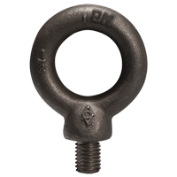 Eye Bolts