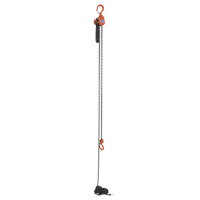 Mini Lever Hoist, 15' Lift, 500 lbs. (0.25 tons) Capacity, Steel Chain Helyx Safety & Industrial Supplies