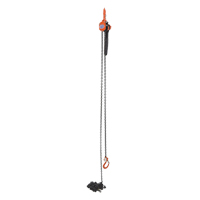 Mini Lever Hoist, 15' Lift, 1000 lbs. (0.5 tons) Capacity, Steel Chain Helyx Safety & Industrial Supplies