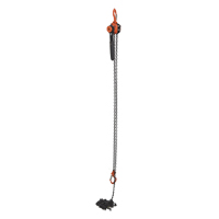 Mini Lever Hoist, 15' Lift, 1000 lbs. (0.5 tons) Capacity, Steel Chain Helyx Safety & Industrial Supplies