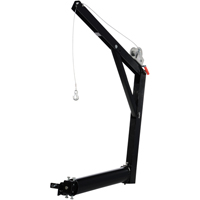 Grue &agrave; fl&egrave;che pour camion mont&eacute;e sur barre d''attelage, Capacit&eacute; de 600 lb (0,3 tonne), Limite de 84-5/8" Helyx Safety & Industrial Supplies