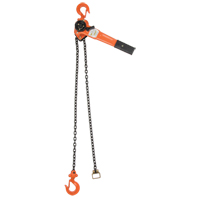 Lever Chain Hoist, 10' Lift, 1000 lbs. (0.5 tons) Capacity, Alloy Steel Chain Helyx Safety & Industrial Supplies