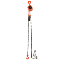 Lever Chain Hoist, 5' Lift, 3000 lbs. (1.5 tons) Capacity, Alloy Steel Chain Helyx Safety & Industrial Supplies