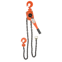 Lever Chain Hoist, 5' Lift, 6000 lbs. (3 tons) Capacity, Alloy Steel Chain Helyx Safety & Industrial Supplies