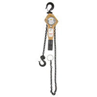Heavy Duty Gold Series Lever Chain Hoist, 5' Lift, 1500 lbs. (0.75 tons) Capacity, Alloy Steel Chain Helyx Safety & Industrial Supplies
