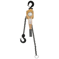Heavy Duty Gold Series Lever Chain Hoist, 5' Lift, 6000 lbs. (3 tons) Capacity, Alloy Steel Chain Helyx Safety & Industrial Supplies