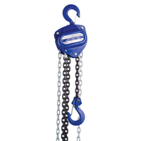 Palan &agrave; chaîne, Lev&eacute;e 10', Capacit&eacute; 2000 lb (1 tonne), Chaîne Calibre de chaîne de chargement 80 Helyx Safety & Industrial Supplies