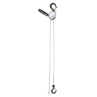 Mini Lever Hoist, 5' Lift, 1100 lbs. (0.55 tons) Capacity, Zinc Plated Chain Helyx Safety & Industrial Supplies