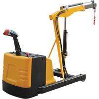 Grue d'atelier &eacute;lectrique, Lev&eacute;e 8,8', 1500 lb (0,75 tonne), 44-1/4" bras, 62-1/4" ha Helyx Safety & Industrial Supplies