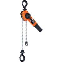 Palan &agrave; levier de s&eacute;rie 653-A, Lev&eacute;e 5', Cabacit&eacute; 1500 lb (0,75 tonne), Chaîne en Acier Helyx Safety & Industrial Supplies