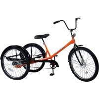 Tricycles Mover, Capacit&eacute; de 500 lb Helyx Safety & Industrial Supplies