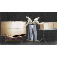 Plateformes de levage manuelles Pallet Pal, 43-5/8" lo x 43-5/8" la, Capacit&eacute; 4500 lb Helyx Safety & Industrial Supplies