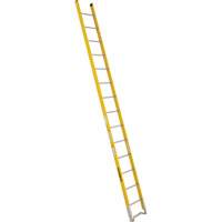 Single Section Straight Ladder - 6100 Series, 14', Fibreglass, 375 lbs., CSA Grade 1AA Helyx Safety & Industrial Supplies