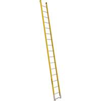 Single Section Straight Ladder - 6100 Series, 16', Fibreglass, 375 lbs., CSA Grade 1AA Helyx Safety & Industrial Supplies