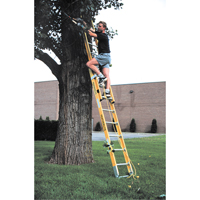 &eacute;chelles &agrave; coulisse industrielles robustes (s&eacute;rie 6200), Cap 375 lb, 13' h, Calibre 1AA Helyx Safety & Industrial Supplies