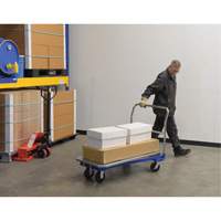 Platform Cart, 48" L x 24" W, 1500 lbs. Capacity, Mold-on Rubber Casters Helyx Safety & Industrial Supplies