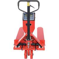 Pallet Truck, 48" L x 27.5" W, 5000 lbs. Cap. Helyx Safety & Industrial Supplies