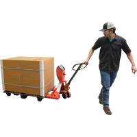 Pallet Truck, 48" L x 27.5" W, 5000 lbs. Cap. Helyx Safety & Industrial Supplies