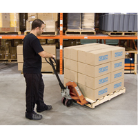 Transpalette manuel robuste, Acier, 48" lo x 20,5" la, Capacit&eacute; 5500 lb Helyx Safety & Industrial Supplies