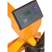 Digital Scale Pallet Truck, 27.5" L x 27.5" W, 5000 lbs. Cap. Helyx Safety & Industrial Supplies