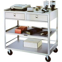 Supports en acier inoxydable pour &eacute;quipement, 300 lb Capacit&eacute;, Acier inoxydable, 20"/20-1/8" x la, 35" x ha, 37"/36-3/8" p, D&eacute;mont&eacute;, 2 tirroirs Helyx Safety & Industrial Supplies