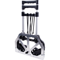 Diables pliables, Aluminium, Capacit&eacute; de 175 lb Helyx Safety & Industrial Supplies