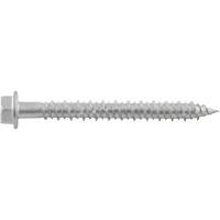 Vis de scellement Aggre-Gator, 1/4" x 1-1/4" lo, Acier inoxydable Helyx Safety & Industrial Supplies