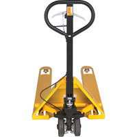 Transpalette avec frein Helyx Safety & Industrial Supplies