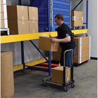 Fold-Up Platform Truck, Stainless Steel, 300 lbs., 28" L x 16" W, 33-1/2" High Helyx Safety & Industrial Supplies