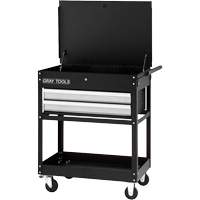 Utility Cart, 2 Drawers, 30-1/4" L x 19" W x 35-3/4" H, Black Helyx Safety & Industrial Supplies