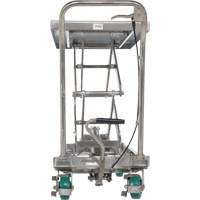 Table &eacute;l&eacute;vatrice hydraulique manuelle &agrave; ciseaux, 36-1/4" lo x 19-3/8" la, Acier inoxydable, Capacit&eacute; 600 lb Helyx Safety & Industrial Supplies